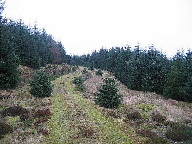 About Annie Missie – Founder